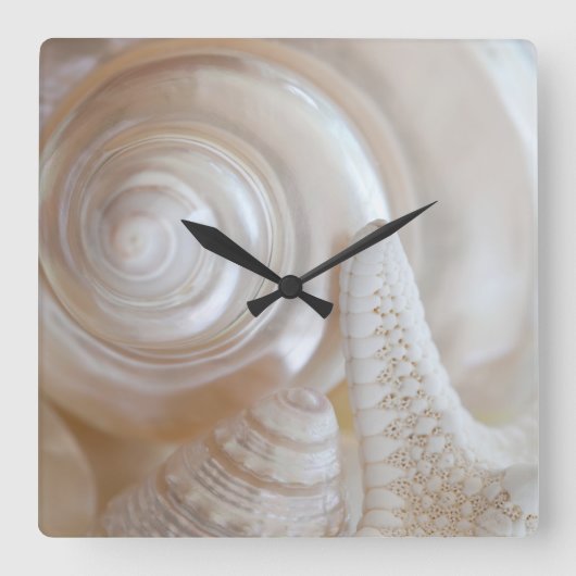 Horloge Carrée White Seashell Starfish Tropical Beach Sea Shells (Recto)