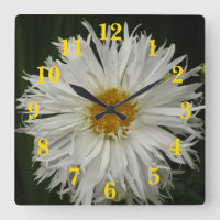 White Yellow Flower