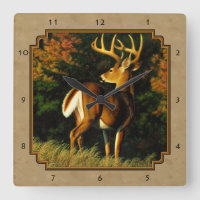 Whitetail Buck