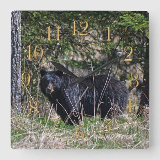 Horloge Carrée Wild Black Bear & Forest Wildlife Photo Wall Clock (Recto)