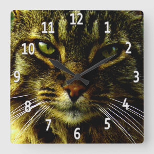 Horloge Carrée Yeux de chat Hypnotisant photo encadrée