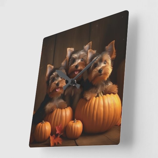 Horloge Carrée Yorkshire Terrier Chiot Automne Citrouille délice (Angle)