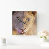 Horloge Carrée Young Male Lion (Maison)