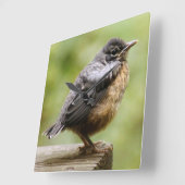 Horloge Carrée Young Robin (Angle)