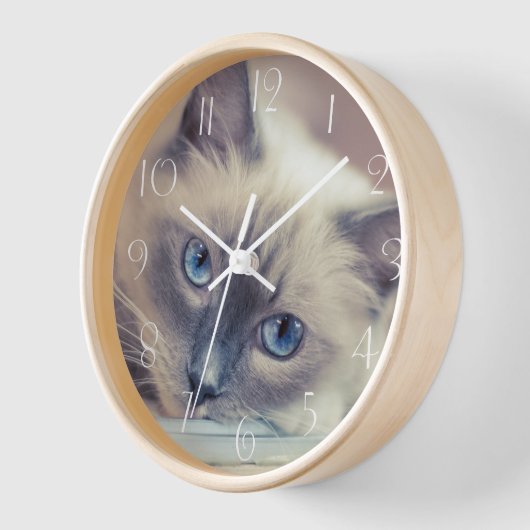 Horloge Chat ‎ (Angle)