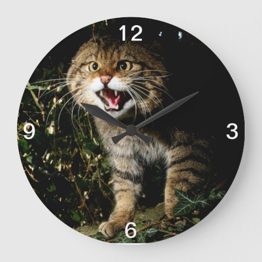 Horloge - chat sauvage écossais (Recto)
