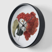 Horloge Chef d'une Macaw (1725-1792) Aert Schouman (Angle)