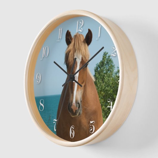 Horloge Cheval (Angle)