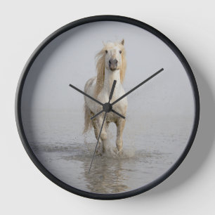 Horloge Cheval Camargue courant dans l'eau