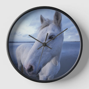 Horloge Cheval de Camargue