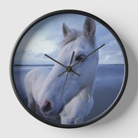 Horloge Cheval de Camargue (Recto)