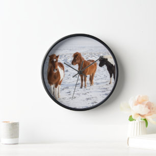 Horloge Cheval islandais avec pelage d'hiver typique