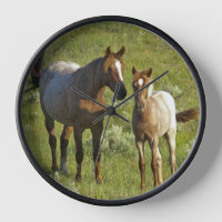 Chevaux sauvages Dakota du Nord