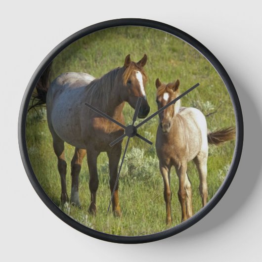 Horloge Chevaux sauvages Dakota du Nord (Recto)