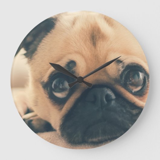Horloge chien (Recto)