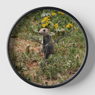 Horloge Chien des Prairies