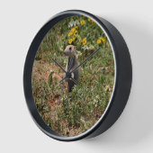 Horloge Chien des Prairies (Angle)