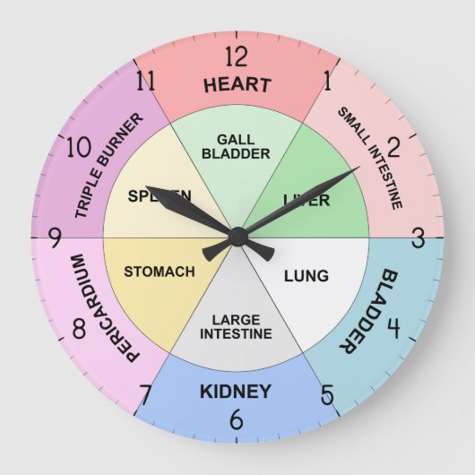 Horloge chinoise - Horloge corporelle TCM (Recto)