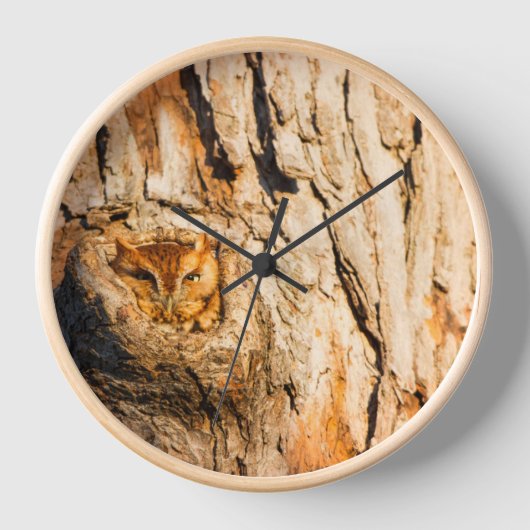 Horloge Chouette à cris de l'Est (Recto)