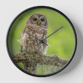 Horloge Chouette barrée sur le membre de l'arbre (Recto)