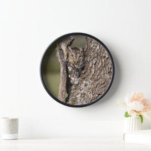 Horloge Chouette de l'Est