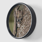 Horloge Chouette de l'Est (Angle)