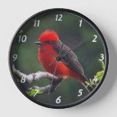 Horloge Clock de Vermilion Flycatcher (Recto)