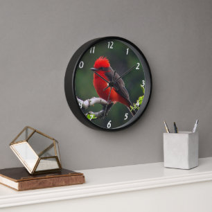 Horloge Clock de Vermilion Flycatcher