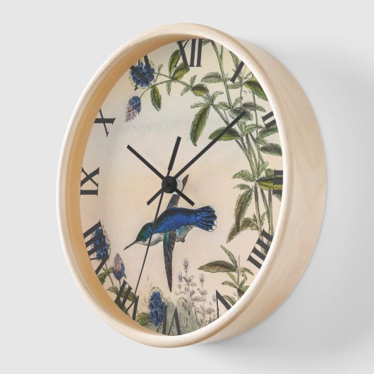 Horloge Colibri par John Gould (Angle)