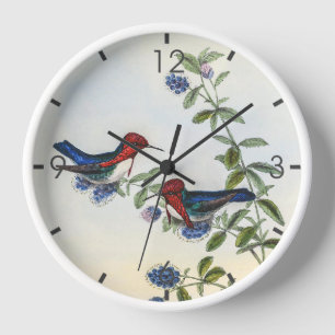 Horloge Colibri vintage par John Gould