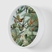 Horloge Colibris - Ernst Haeckel (Angle)