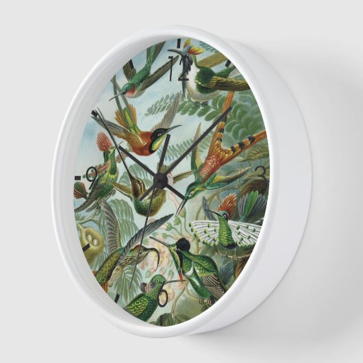 Horloge Colibris - Ernst Haeckel (Angle)