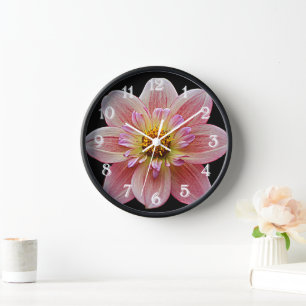 Horloge Collarette rose Dahlia sur Floral noir