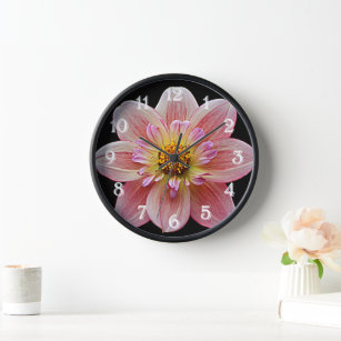 Horloge Collarette rose Dahlia sur Floral noir