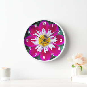 Horloge Collarette rose et blanc Dahlia Floral