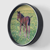 Horloge Colt dans le champ de Dandelion (Angle)