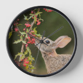 Horloge Cottontail Est | Sud du Texas (Recto)
