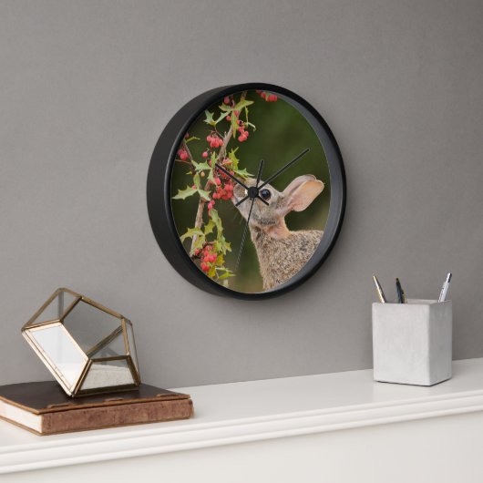 Horloge Cottontail Est | Sud du Texas (Bureau)