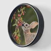 Horloge Cottontail Est | Sud du Texas (Angle)