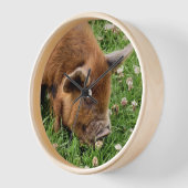 HORLOGE COUPER (Angle)