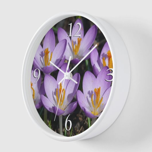 Horloge Crocus violets ensoleillés (Angle)