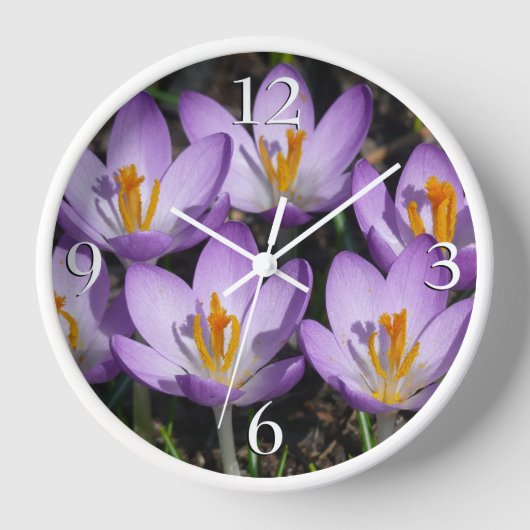 Horloge Crocus violets ensoleillés (Recto)