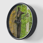Horloge Cube d'ours noir | Minnesota (Angle)
