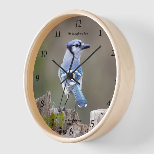 Horloge Cute Blue Jay Songbird Poser sur Treestump (Angle)