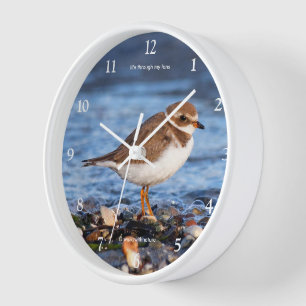 Horloge Cute Semipalmé Plover Bécasseau