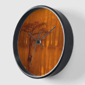 Horloge Cyprès | George Smith State Park (Angle)