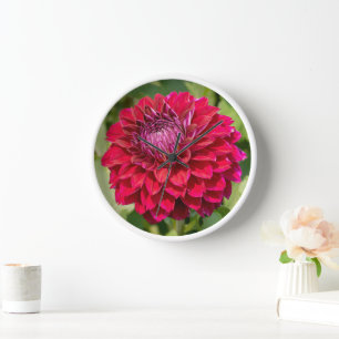 Horloge Dahlia Pink Photographie canadienne de fleurs