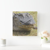 Horloge d'alligator (Maison)