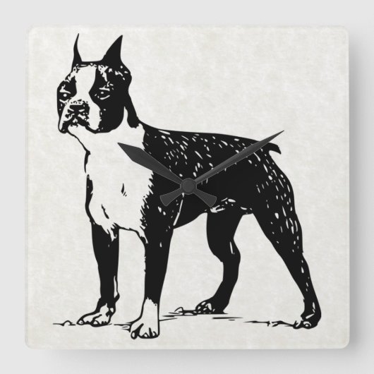 horloge de boston terrier (Recto)