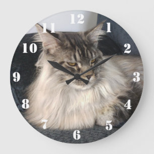 Horloge de chat de ragondin du Maine